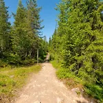 Kotokuusi 1 - Luonnon Keskellae, Sisaeltaeae Siivouksen Ja Wifin