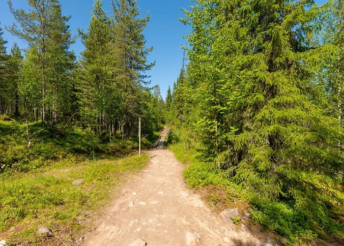 Kotokuusi 1 - Luonnon Keskellae, Sisaeltaeae Siivouksen Ja Wifin