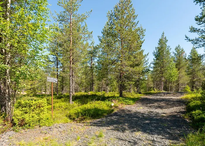 Kotokuusi 1 - Luonnon Keskellae, Sisaeltaeae Siivouksen Ja Wifin